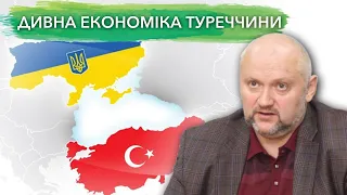 Туреччина: чи можна поєднати ринкову економіку та авторитарний режим? Частина1