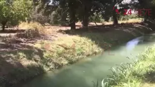 Niño originario de Texas muere ahogado en río de Güémez