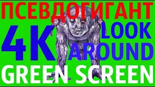 ФУТАЖ - "GREEN SCREEN" LOOK AROUND ПСЕВДОГИГАНТ (С.Т.А.Л.К.Е.Р.)