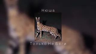 Нюша - Только Не Беги |slowed down|