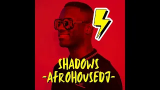 AFROHOUSEDJ - Shadows X ( Guaracha mix, Aleteo, Zapateo, Guaracha 2023, Tribal )