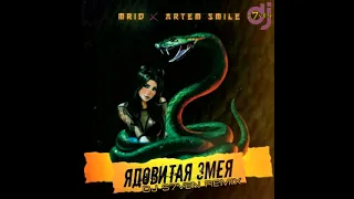 MriD, Artem Smile - Ядовитая змея (DJ S7ven Remix)