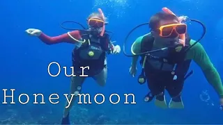 Bahamas Honeymoon | Swimming With Sharks