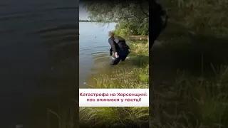 😱 Катастрофа на Херсонщині: пес опинився у пастці!