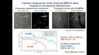 Chris Xu: 3-photon microscopy for deep brain imaging