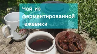 Делаем ферментированный чай из листьев ежевики 🌿🌿