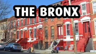 A Trip to The Bronx, New York City