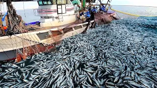 Life On Largest Midwater Trawl Vessel - Fishing trip on trawler the High Sea #05
