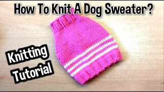 How To Knit A Dog Sweater? DIY Tutorial