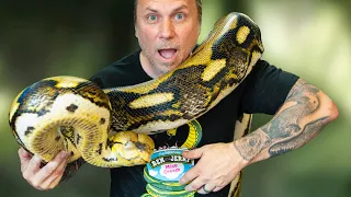 MY 20 FOOT SNAKE DESTROYED HER CAGE!! NOW WHAT?? | BRIAN BARCZYK