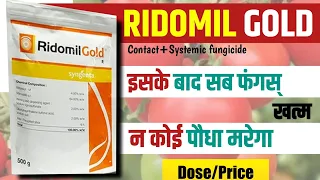 Ridomil Gold Fungicide | Sygenta Ridomil Gold | Ridomil Gold fungicide uses | fungicide | syngenta