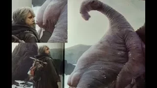 Luke Milking Creatures in Star Wars The Last Jedi