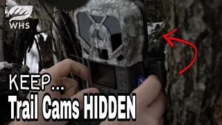 4 Easy Ways To Hide Trail Cams