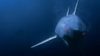 Mega Shark vs Mecha Shark (Part 1)