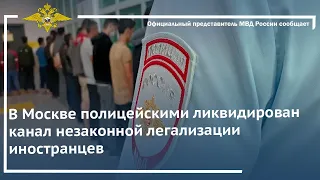 Ирина Волк: В Москве полицейскими ликвидирован канал незаконной легализации иностранцев