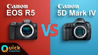 CANON EOS R5 vs CANON EOS 5D Mark IV | Quick Camera Comparison