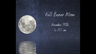 Full Beaver Moon - what to expect