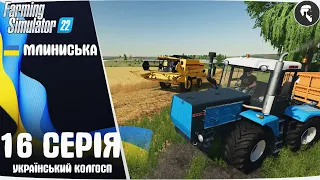 Farming Simulator 22 українською: Село Млиниська #16 ● Прибирання пшениці