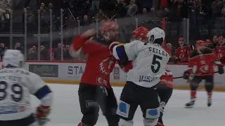 Hockeyfight in National League