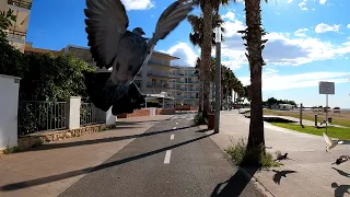 70 minute uncut Virtual Cycling Workout Cambrils to Tarragona Spain 4k Strava Video