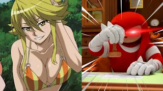 Knuckles rates Akame Ga Kill! female characters crushes