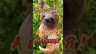 С добрым УТРОМ пятницы!