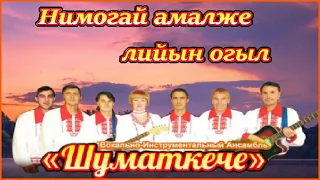 ВИА "Шуматкече" ‎– Нимогай амалже лийын огыл