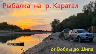 Рыбалка на р.Каратал. Fishing in Kazakhstan, Karatal river, 2023.