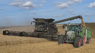 Fendt Ideal 9T & Claas Lexion 770 with Fendt tractors hauling.