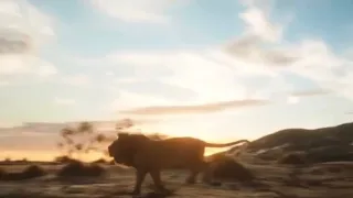 Mufasa’s talk with Simba/ Simba running through the desert. (The Lion King 2019)