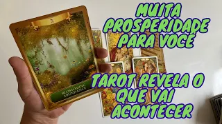 O QUE ESTÁ PARA SE MANIFESTAR NA SUA VIDA PROFISSIONAL E FINANCEIRA? TAROT REVELA TUDO!