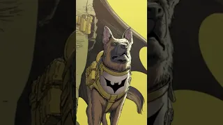 Ace The Bat Hound Batman’s Best Friend!