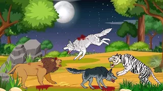 Lion vs White Wolf vs White Tiger vs Wolf - DC2 Animation