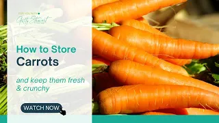 How to Store Carrots and Keep them Fresh and Crunchy