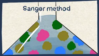 Sanger method: DNA sequencing - Biology tutorial