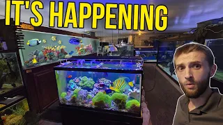 New Saltwater Predator Tank Comes to Life! More to Come....