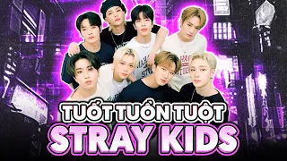 TUỐT TUỒN TUỘT VỀ STRAY KIDS - NHỮNG ĐỨA TRẺ ĐI LẠC NHÀ JYP | Hồ Sơ 'Ai Đồ' | K.D - Kpop