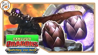 new exclusive dragon & new combat experiences - Dragons Rise of Berk [HD+] #1166