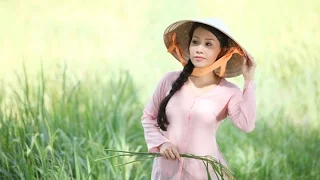 Quê Hương - Cẩm Ly