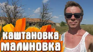 КРЫМ - Каштановое усадьба Бороздиных - Давыдовых / Малиновка усадьба и дом