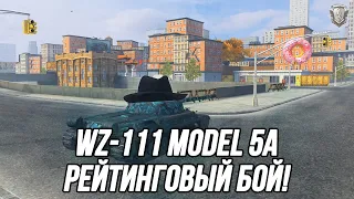 На что может повлиять в бою 1 неприметный WZ-111 model 5A?!