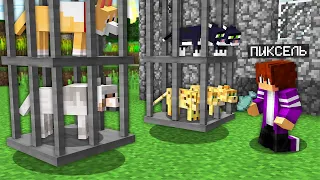 КТО ПОЙМАЛ ВСЕХ ЖИВОТНЫХ В ЛОВУШКУ В МАЙНКРАФТ 100% троллинг ловушка minecraft