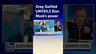 Greg Gutfeld: Musk is like a Trump substitute #shorts