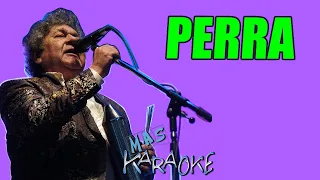 PERRA 🍏 Los Palmeras (Mas Karaoke)
