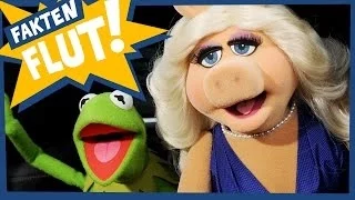 Die Wahrheit über die Muppets | Faktenflut