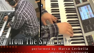 'Scene' from The Swan Lake - perf. by Marco Cerbella - Tchaikovsky (Electone, ELS-02X)