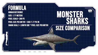 Monster Sharks: Size Comparison