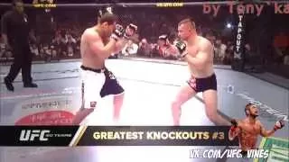 ▮ Gabriel Gonzaga | Nice knockout. | ufc_vine