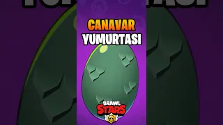 YENİ CANAVAR YUMURTASI AÇTIM ||  Brawl Stars Güncelleme #shorts