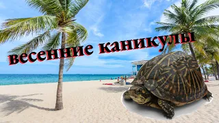 Моя Флорида/Активный отдых/Часть первая. 22/23